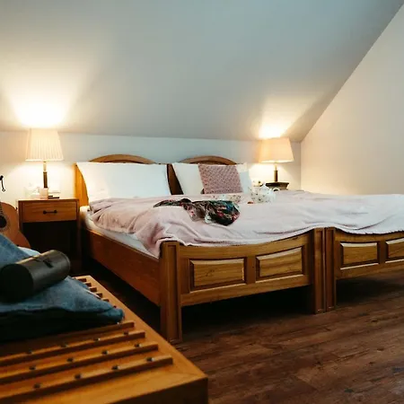 Mlýn Vodníka Slámy - * Háj ve Slezsku