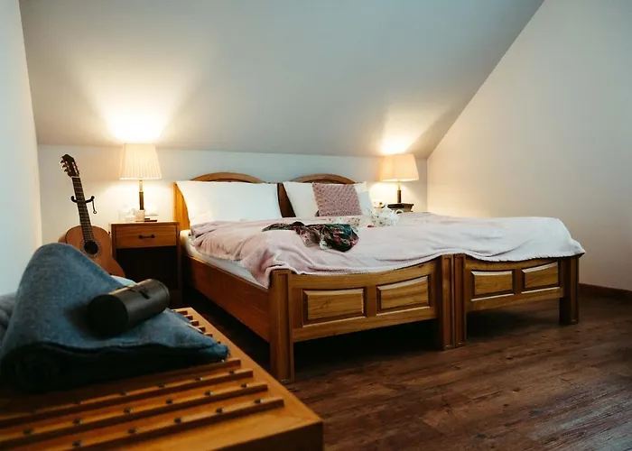 Mlýn Vodníka Slámy - * Háj ve Slezsku